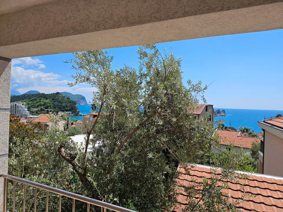 Medin Apartments Bluvista Petrovac エクステリア 写真
