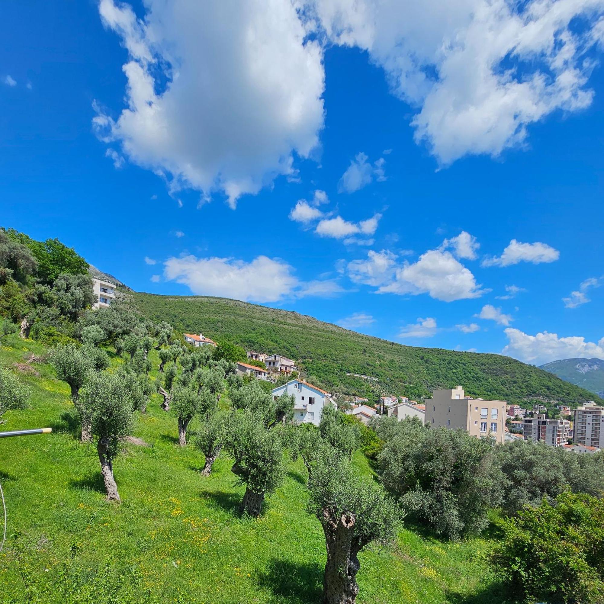 Medin Apartments Bluvista Petrovac エクステリア 写真