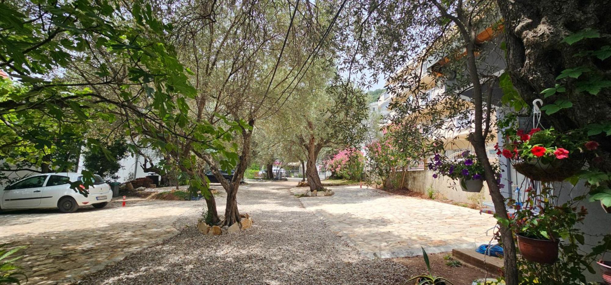 Medin Apartments Bluvista Petrovac エクステリア 写真